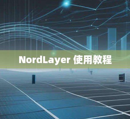 NordLayer 使用教程 NordLayer 使用教程