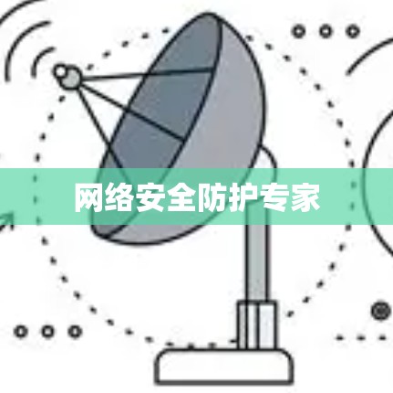 网络安全防护专家 网络安全防护专家