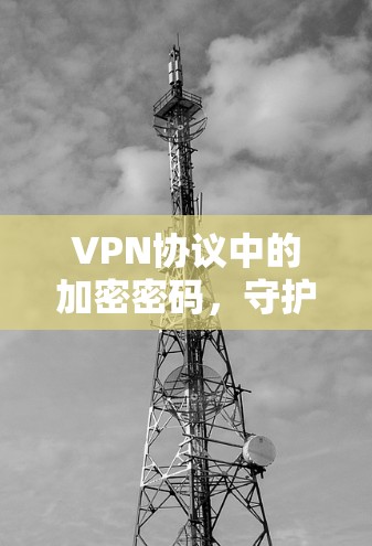 VPN协议中的加密密码,守护数字世界的安全密码