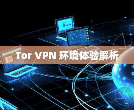 Tor VPN 环境体验解析