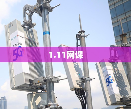 1.11网课