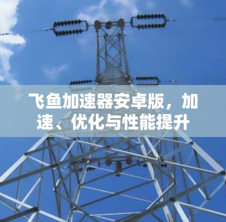飞鱼加速器安卓版,加速、优化与性能提升