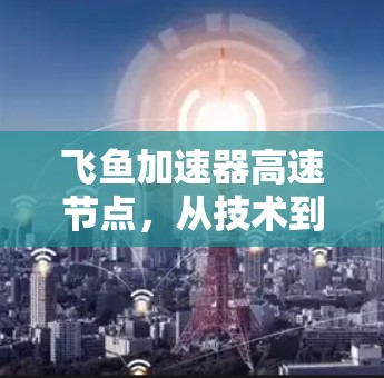 飞鱼加速器高速节点,从技术到应用