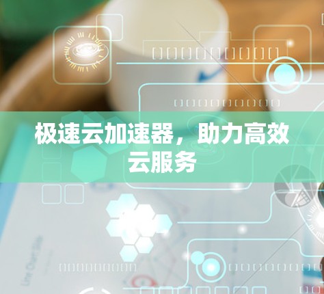 极速云加速器，助力高效云服务
