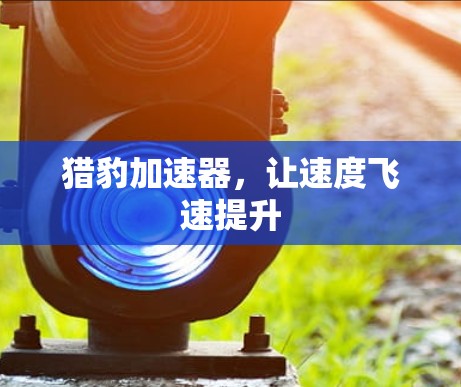 猎豹加速器,让速度飞速提升 猎豹加速器,让速度飞速提升