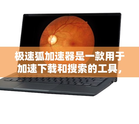 极速狐加速器是一款用于加速下载和搜索的工具，通常适用于Web端或云服务器加速访问的情况。以下是使用极速狐加速器外网连接的几种方法