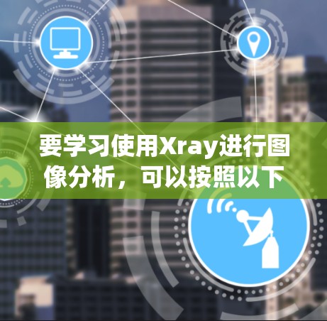 要学习使用Xray进行图像分析，可以按照以下步骤进行