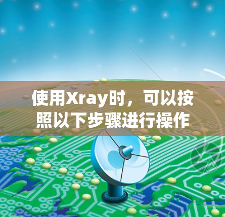 使用Xray时，可以按照以下步骤进行操作