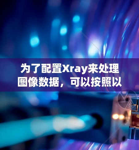 为了配置Xray来处理图像数据，可以按照以下步骤进行