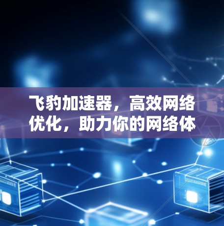 飞豹加速器，高效网络优化，助力你的网络体验