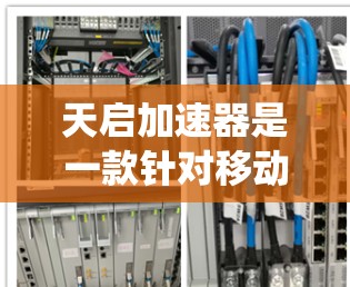天启加速器是一款针对移动端设备的加速工具，旨在提升应用的运行速度和用户体验。它通过多种技术手段优化用户的应用体验，包括加速特定应用、优化系统性能以及提升网络速度