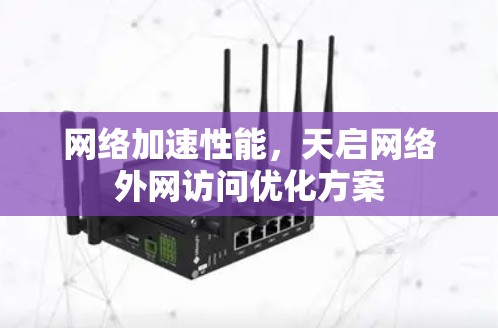 网络加速性能，天启网络外网访问优化方案