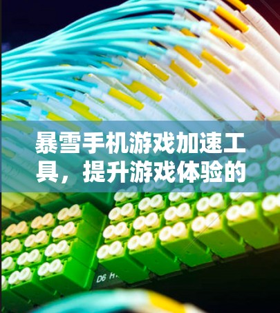 暴雪手机游戏加速工具，提升游戏体验的高效解决方案