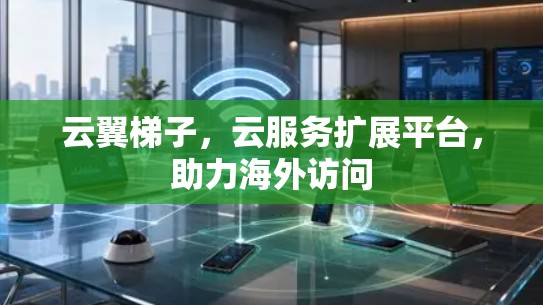 云翼梯子，云服务扩展平台，助力海外访问
