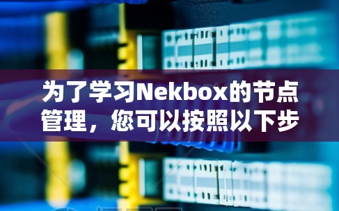 为了学习Nekbox的节点管理,您可以按照以下步骤进行