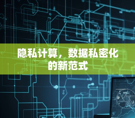 隐私计算,数据私密化的新范式