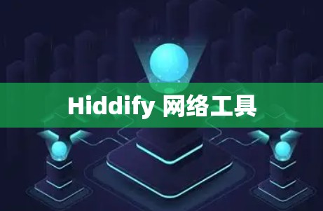 Hiddify 网络工具