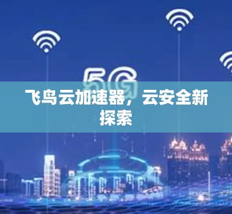 飞鸟云加速器,云安全新探索