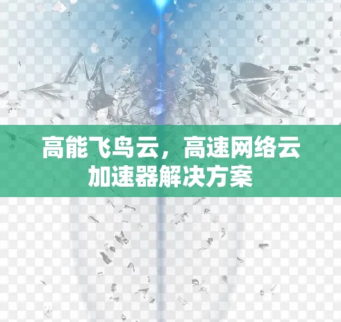 高能飞鸟云，高速网络云加速器解决方案
