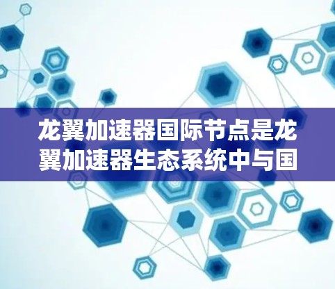 龙翼加速器国际节点是龙翼加速器生态系统中与国际主流游戏和平台合作的重要节点。这些国际节点通常以技术实力、用户基础和社区支持为核心，为玩家提供更优质、更稳定的加速服务。以下是对这些国际节点的详细分析