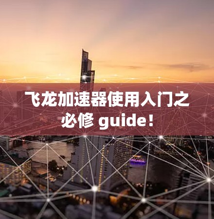 飞龙加速器使用入门之必修 guide！