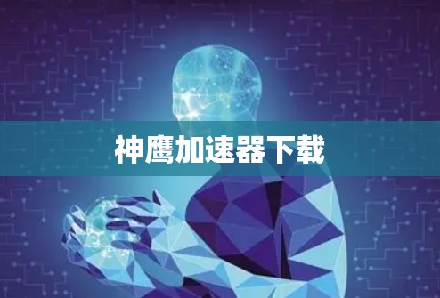 神鹰加速器下载