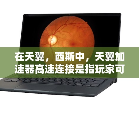 在天翼,西斯中,天翼加速器高速连接是指玩家可以在车辆上使用的资源,用于加速车辆行驶。高速连接可能指的是加速器在高速公路上的表现,包括其在高速度下的稳定性和性能。以下是关于这一主题的详细分析