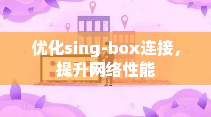 优化sing-box连接，提升网络性能