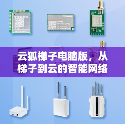 云狐梯子电脑版，从梯子到云的智能网络解决方案