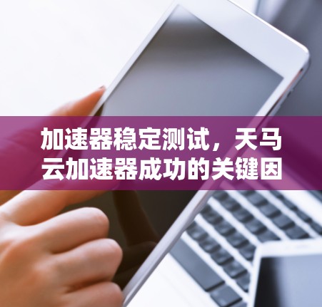 加速器稳定测试，天马云加速器成功的关键因素