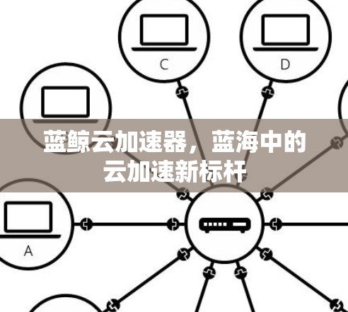 蓝鲸云加速器，蓝海中的云加速新标杆
