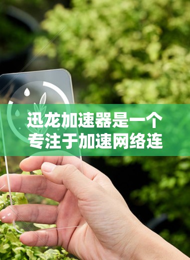 迅龙加速器是一个专注于加速网络连接的工具，旨在提升数据传输速度。以下是对它的详细介绍