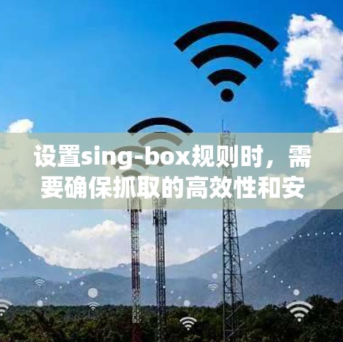 设置sing-box规则时,需要确保抓取的高效性和安全性。以下是详细的步骤说明,帮助您正确设置规则
