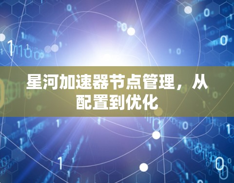 星河加速器节点管理,从配置到优化