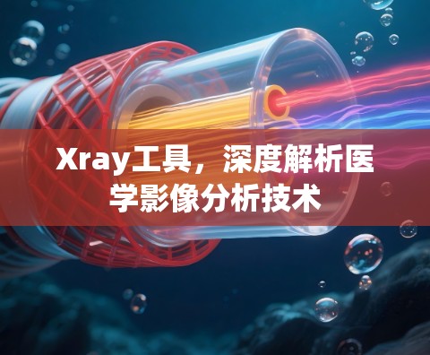 Xray工具,深度解析医学影像分析技术