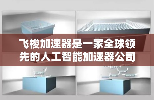 飞梭加速器是一家全球领先的人工智能加速器公司,专注于通过AI技术实现高速、精准的太空加速。其国际节点分布较为广泛,主要合作于以下几个主要国家和地区