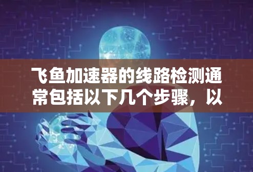 飞鱼加速器的线路检测通常包括以下几个步骤,以确保其正常运行