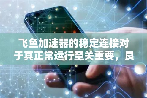 飞鱼加速器的稳定连接对于其正常运行至关重要,良好的连接确保了电路的稳定性和可靠性。以下是对稳定连接的详细说明