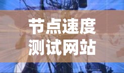 节点速度测试网站是用于评估节点服务器在不同负载和环境条件下的性能和稳定性工具。以下是关于它们的详细信息