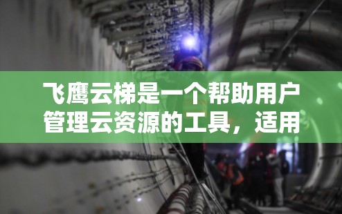 飞鹰云梯是一个帮助用户管理云资源的工具,适用于服务器、存储和云存储等场景。以下是对飞鹰云梯的详细步骤和功能