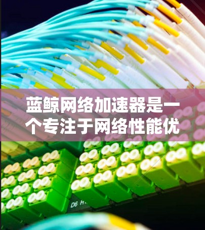 蓝鲸网络加速器是一个专注于网络性能优化的工具,通常用于提升速度、减少延迟和节省带宽。如果你对蓝鲸网络加速器的网络优化感兴趣,以下是一些基本的步骤和建议