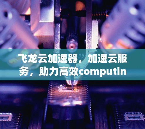 飞龙云加速器,加速云服务,助力高效computing