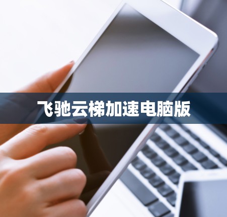 飞驰云梯加速电脑版