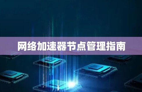 网络加速器节点管理指南