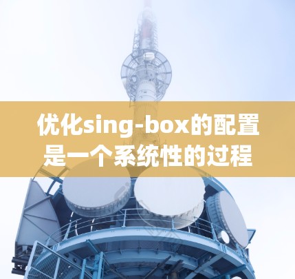 优化sing-box的配置是一个系统性的过程，需要从多个方面进行调整和优化。以下是一些具体的步骤和建议，帮助你更好地配置sing-box