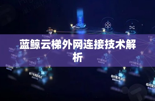 蓝鲸云梯外网连接技术解析