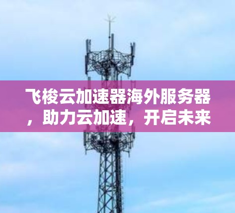 飞梭云加速器海外服务器，助力云加速，开启未来？