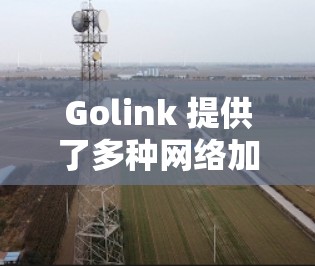 Golink 提供了多种网络加速器和网络解决方案，包括桌面版加速器、网络加速器、邮件服务器等。如果你指的是 Golink桌面版加速器，以下是有用的信息