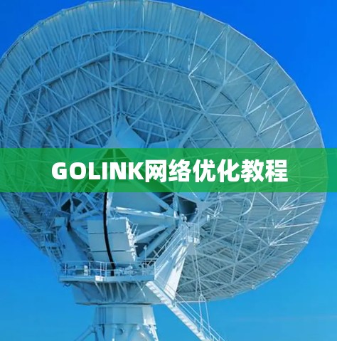 GOLINK网络优化教程