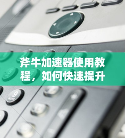 斧牛加速器使用教程，如何快速提升网页速度？